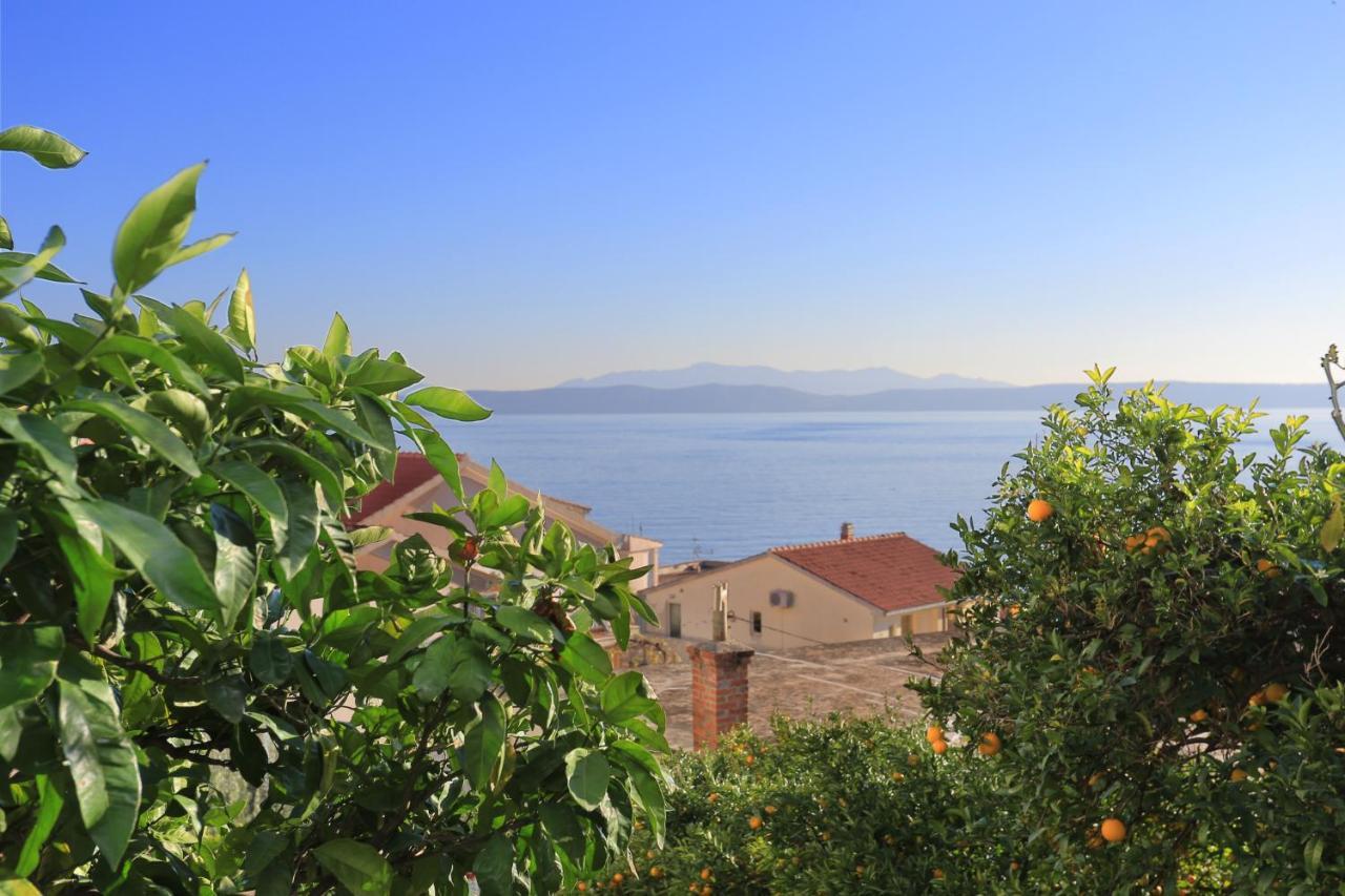 Apartments by the sea Podgora, Makarska - 2594 Exteriör bild